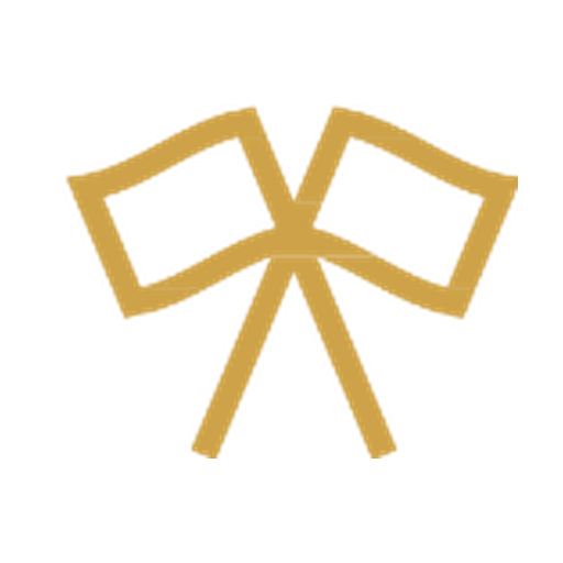 icon 06